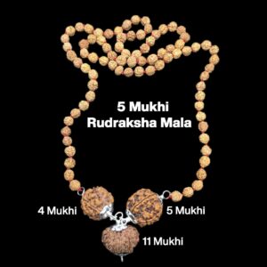 Rudraksha Combination for Hanuman Power 4,5,11 Mukhi Nepal in Rudraksha Mala