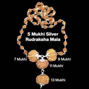 Rudraksha Combination for Wealth 7,9,11,13 Mukhi Nepal in Silver Mala