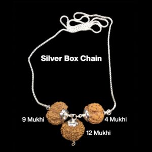 Rudraksha Combination for Doctors 4,9,12 Mukhi Nepal in Silver Chain
