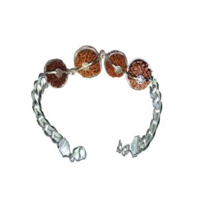 Rudraksha Combination for Business Power (Marketing & Trading) 7,7,8,13 Mukhi Nepal in Silver Bracelet